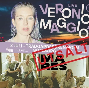 SÖKER - Söker en biljett den 8e juli, hör av dig om du vet eller vill sälja💖💖💖