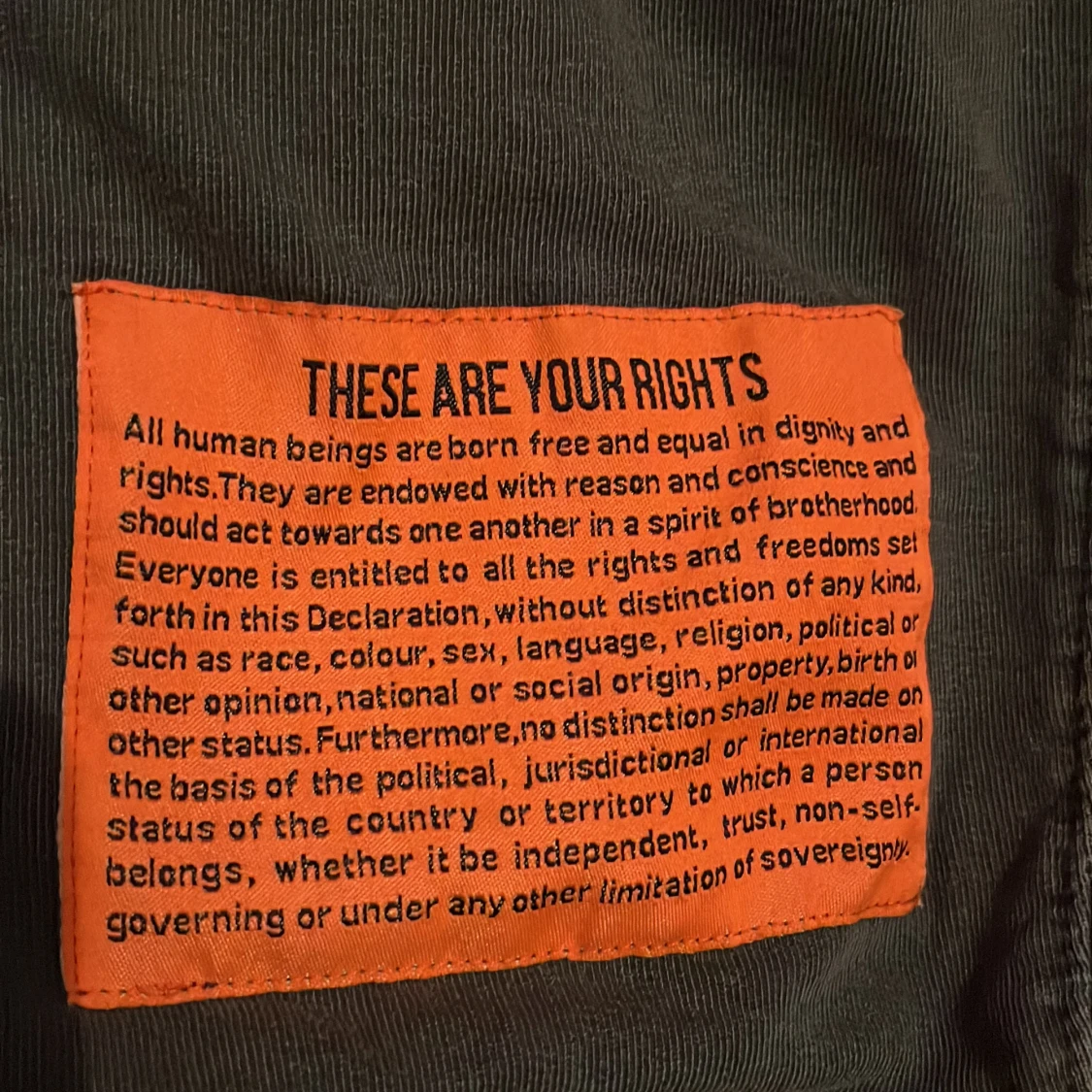 Hoodie - human rights - 91