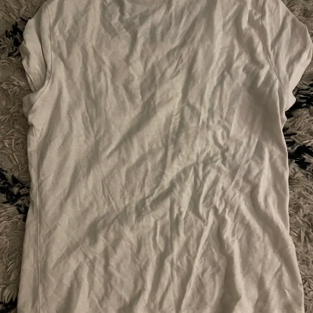 Ett t-shirt från dior. T-shirten är köpt på en secondhand och är inte säker på att den är äkta . I storlek L men sitter bra på mig som har XS . Köparen står för frakt. . T-shirts.
