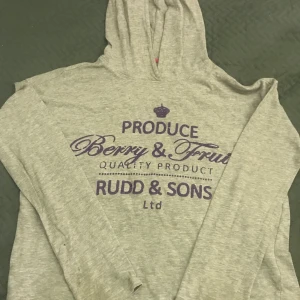 Grå hoodie  - En grå hoodie! Några fläckar vid ärmarna och ganska använd därav priset, men annars felfri!❤️ 