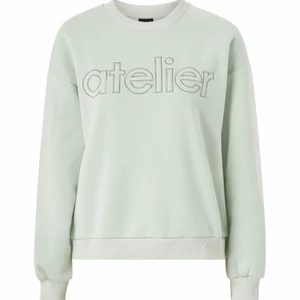 Sweatshirt - Supersnygg sweatshirt från Gina tricot. Väldigt fint skick, storlek XS!❤️ Mintgrön färg!