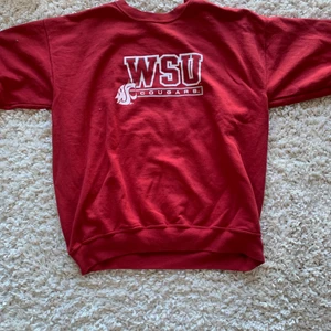 College tröja - En collegetröja beställd från Rebound sthlm. I bra skick inget slitage! 