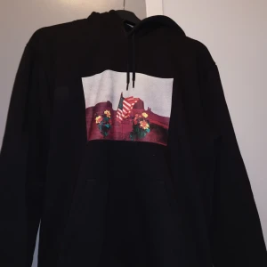 Carhartt WIP Matt Martin Flags Hoodie - Använd fåtal gånger   Hoodie från Carhartt  Fint skick!  