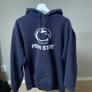 Penn State Champion Hoodie - Vintage champion hoodie i bra skick, säljer för att den aldrig används