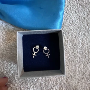 Örhengen - Fina örhengen som kännetecknar kvinnosymbolen!!! 