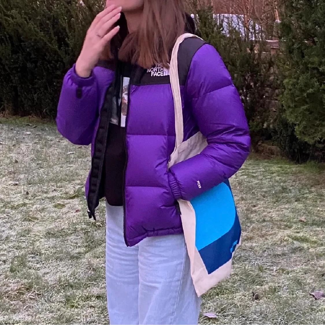 The north face jacka