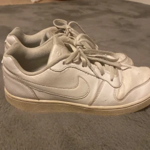 Skor  - Nike skor tror tyvärr att dom är fejk men är it säker men sköna 