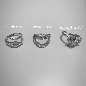 Silver Ringar  - Ringar i 925 sterling silver. Designen är djurinspirerad i syfte om att representera ett djur eller en grupp djur som är i behov av omgående hjälp. 5% av totala vinsten går till Djurens Rätt. Ringarna är justerbara. Vid intresse kontakta COTERIE