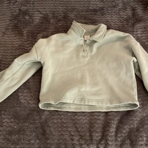 Grön topp  - Mer grön i verkligheten än vad det ser ut! Fri frakt. Använd få gånger 