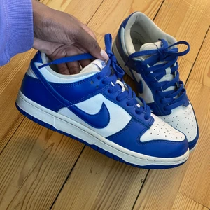 Nike dunk low SP Kentucky  - Sparsamt använda. Passar som 41