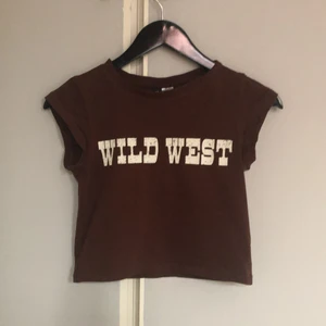 Topp brun wild west - Ganska lik cowgirl tröjan som är väldigt trendig🤠🤎 Köparen betalar frakten💗💗