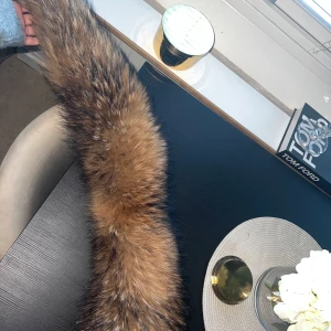 Pälskrage (tvättbjörn)  - Väldigt fin stor pälskrage, som ny, använt 2 gånger. Kan även skickas om så önskas. Kan sättas fast på jacka/kappa!