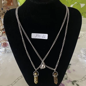 Dubbel halsband  - Dubbel kompis halsband metall 