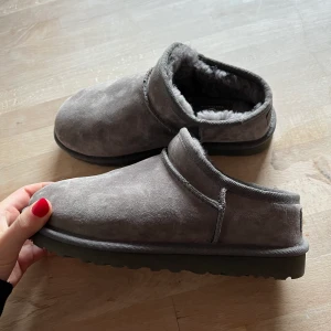 Uggs - Helt nya uggs låga I stl 36