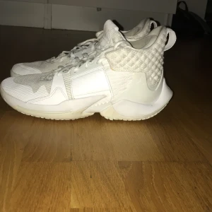 Nike basketskor - Storlek 42 kan hämtas i norrköping