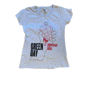 Green Day T-shirt  - En grå Green Day t-shirt. Använd endast två gånger⭐️
