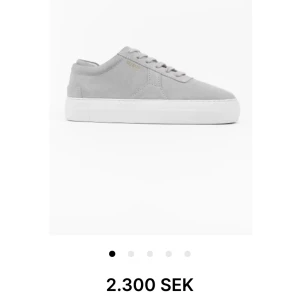 Arigato skor - Säljer mina gråa Axel Arigato skor i storlek 37. Nypris runt 2 300 kr. Skriv privat för egna bilder💕