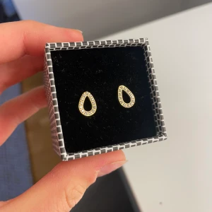 Örhängen  - Superfina örhängen från Edblad i guld med stenar. De är aldrig använda:) 