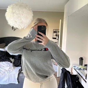 Champion sweatshirt - Säljer min jättemysiga sweatshirt ifrån champion då den inte längre används, välanvänd men i bra skick fortfarande. Frakt tillkommer