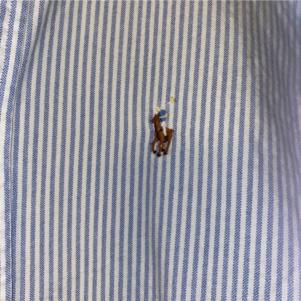 Snygg randig ralph lauren skjorta i blått och vitt med en broderad logga på bröstet. Skjortan är i costum fit och har långa ärmar och knappar framtill. Passar i S-XS. Paidat.