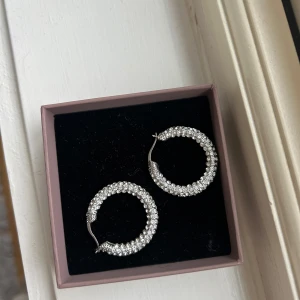 Örhängen  - Fint skick men vet ej vart de är ifrån därav pris.