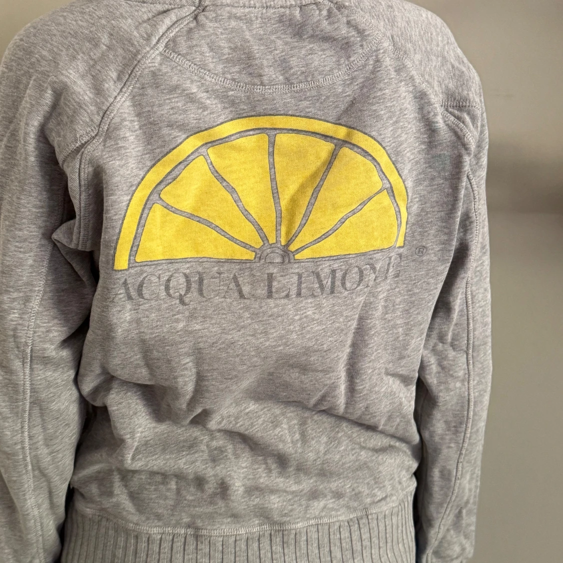 Grå sweatshirt från Acqua Limone - 1