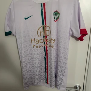 Vit fotbollströja med gröna och röda detaljer - Säljer en vit fotbollströja från Nike med korta ärmar. Tröjan har gröna och röda detaljer samt ett mönster av små symboler. Märket och logotypen är i guld på framsidan.