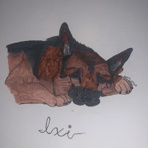 Målar ditt djur! - Målar ditt djur! Målningarna är gjorda med akryl, akryl papper, och permanent pennor. Har du nått djur du vill ha upp på väggen eller någon som gått bort som vill has minne av så hjälper jag gärna till, målningarna skickas via post går att köpa till ram men det blir 40kr extra! Målningarna tar 3-4 dagar att göras + torkning så borde vara redo att skickas efter 5 dagar!  Skicka ett pm så gör vi det som känns bäst för dig! Dom kommer kosta olika så vi pratar fram ett pris!