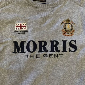 Grå Morris Tröja - Ge prisförslag!
