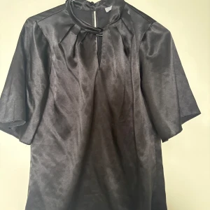 Svart satintopp från Dorothy Perkins - Snygg svart satintopp från Dorothy Perkins med korta vida ärmar och hög hals med dekorativ detalj framtill. Toppen har en liten slits vid halsen både fram och bak samt knäppning i nacken. Perfekt för dig som gillar en stilren och elegant look.