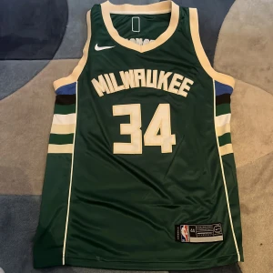 Grön basketlinne från Nike - Säljer ett grönt basketlinne från Nike med texten 'MILWAUKEE' och nummer 34 på framsidan. Baksidan har namnet 'ANTETOKOUNMPO' och samma nummer. Linnet har vita och blå detaljer samt ärmlös design. Perfekt för basketfans!