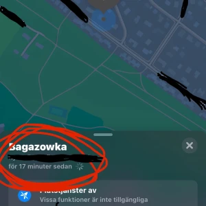 Säljer information på vart min katt som heter Bagazowka är - Why not liksom, bara köp det