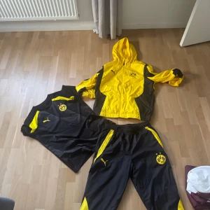 BVB vindjacka från Puma gul/svart - BVB dress T-shirt och jacka och byxor storlek L