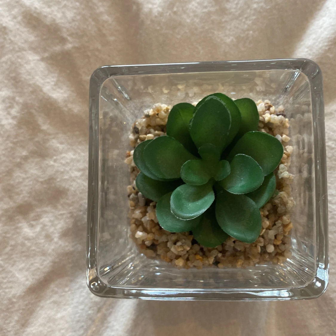 En fejk växt 🪴  - 1