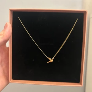 Guldigt halsband med fågel från Edblad - Supersnyggt halsband från Edblad i guldton med en liten fågel som hänge.  Aldrig använt 
