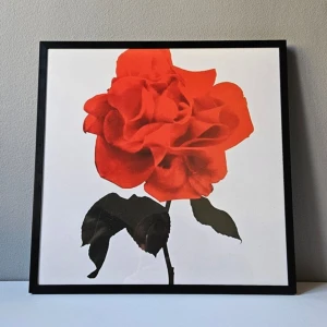 Kent - Albumaffisch, 31.5x31.5cm - Kent - Egoist albumaffisch, 31.5x31.5cm   Helt ny - Passar bra i IKEAs tavelram Lomviken!  Tryckt på glossy 240gr papper  Skickas i papprulle - Ramen ingår inte!