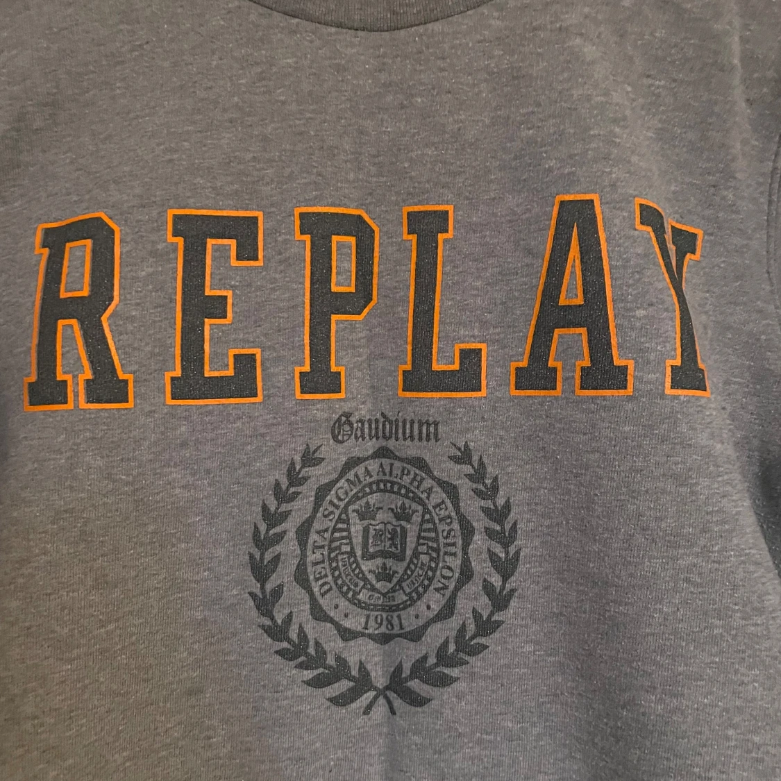 Grå sweatshirt från Replay - 1