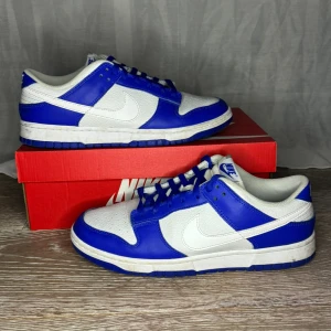 Nike Dunk i blått och vitt - Snygga Nike Dunk sneakers i en fräsch kombination av blått och vitt. Skorna har en klassisk design med snörning och en bekväm passform. Perfekta för både vardag och sportiga aktiviteter. Hade tänk runt 950kr storleken på dem är 43