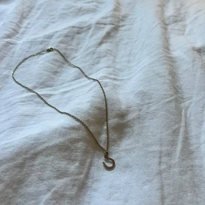 Guldigt halsband med en hästsko - Säljer ett guldigt halsband med en hästsko på. Endast envänt ett fåtal gånger och i mycket fint skick. 