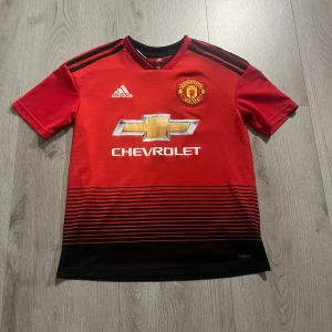 Manchester United röd Adidas tröja L - Manchester Uniteds officiella matchtröja från Adidas i storlek L. Röd med svarta detaljer och svarta ränder på axlarna, samt svart och röd randigt mönster nedtill. Broderat klubbmärke på bröstet och Chevrolet-logga i guld och silver. Tillverkad i lätt polyester med Climalite-teknologi.