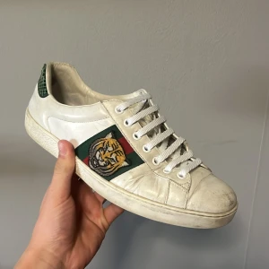 Gucci ace - Tjena säljer mina Gucci ace tiger för ett bra pris, priset är ej hugget i sten och går att sänka vid snabb affär, skick 7/10 och inget og följer med. Dom är endast smutsiga, hör av dig för fler bilder eller frågor 