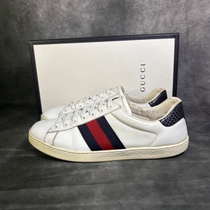 Gucci ace sneakers - Mycket fint skick | Size uk 9 passar 43  | box medföljer | fraktar spårbart inom 24 timmar |  för att köpa klicka ” köp nu” | vid frågor skriv ett meddelande |