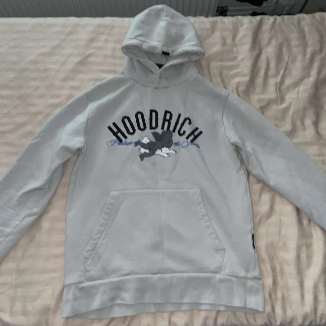 Ljusgrå HOODRICH hoodie