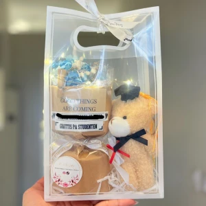 Studentpresent med nalle och mugg - Fin presentpåse till studenten med en mjuk nalle med svart studentmössa och rosett, samt en mugg med texten 'Good things are coming'. Perfekt som gåva till studenten!