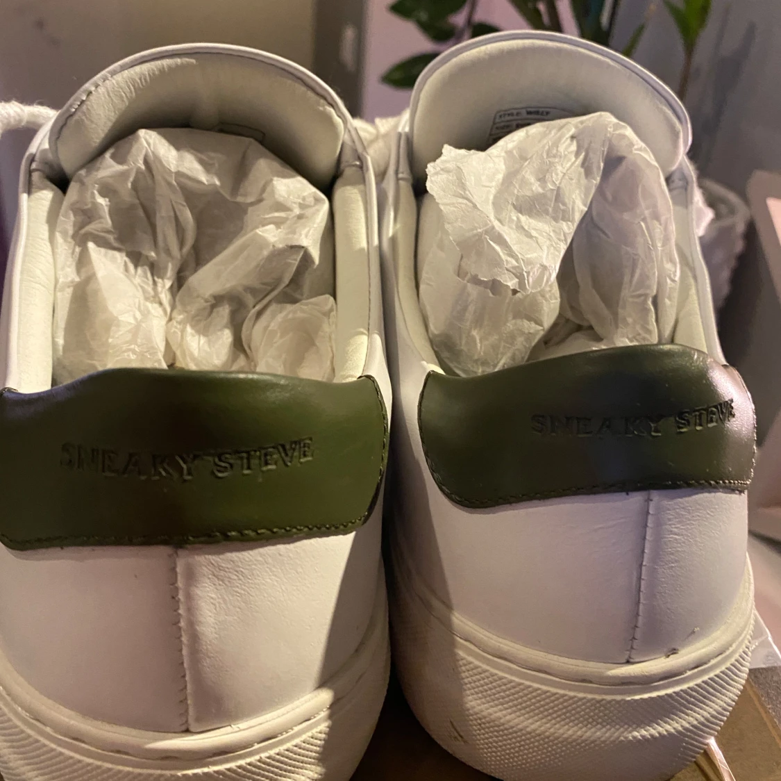 Sneaky Steve Skor - 2