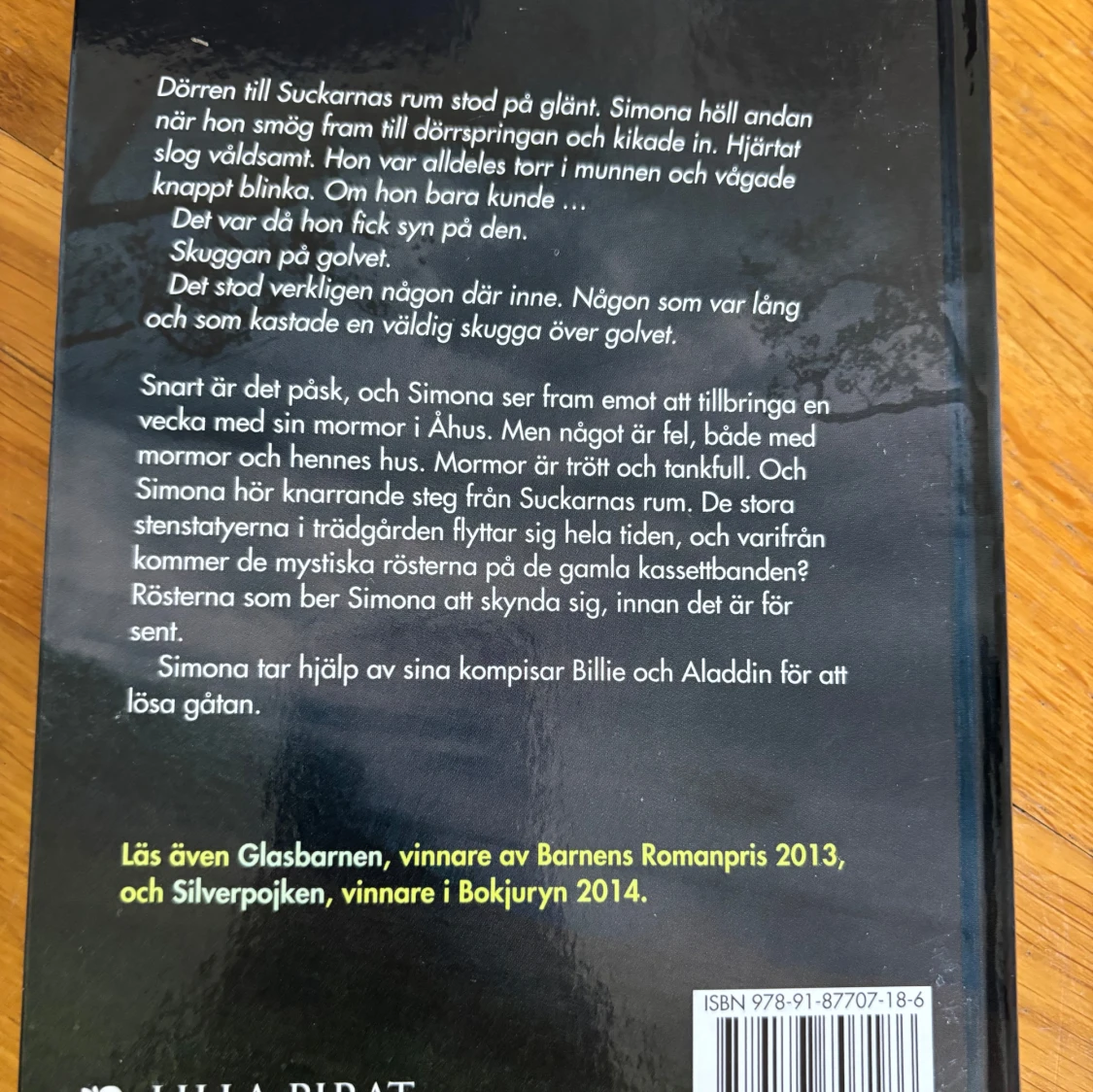 Barnbok/ ksiạžka dla dzieci, Stenänglar - 1