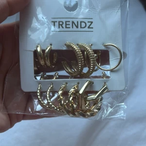 Guldiga örhängen från Trendz - Flera par snygga guldiga örhängen från Trendz i olika former och texturer. Setet innehåller både släta och mönstrade hoops, vissa med coola detaljer och twistad design. Perfekt för att mixa och matcha till din egen stil.