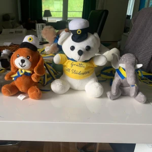 Studentpresenter med mjukisdjur och hjärta - Flera mjukisdjur, bland annat nallar och en hund, med studentmössa och blågula band. Ett hjärtformat mjukisdjur med texten 'Student' i guld. Perfekt som accessoar till studenten. 1 st för 50kr