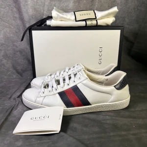 Gucci ace sneaker - Mycket fint skick med nya snören | Size uk 7,5 vilket motsvarar 42  | Allt og medföljer | fraktar spårbart inom 24 timmar med PostNord eller instabox
