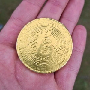 Bircoin - Värt mycket pengar